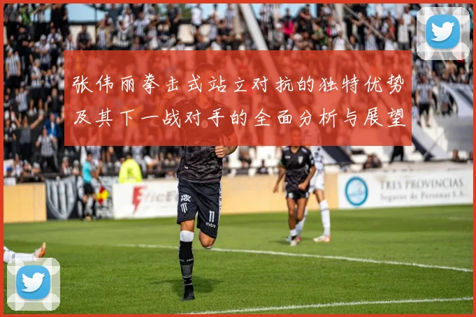 张伟丽拳击式站立对抗的独特优势及其下一战对手的全面分析与展望